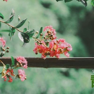 开云·体育(KYSports)