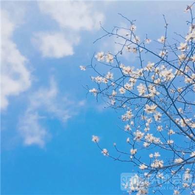 AG官方平台下载地址app下载截图