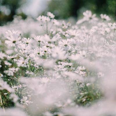 beat365中国在线体育app下载