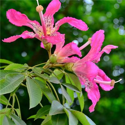 富翁彩票大厅~welcome