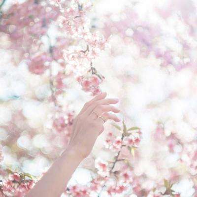 太阳集团电子游戏截图