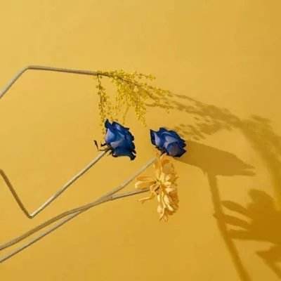 开元棋脾361SE截图